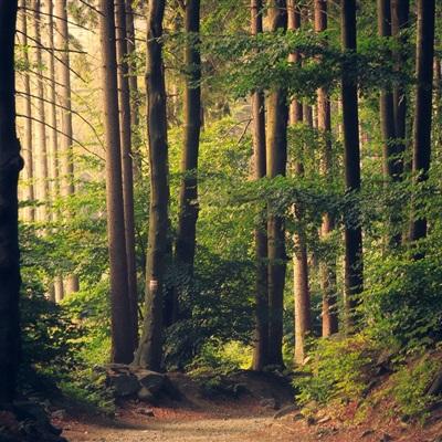 皇冠·app(中国)下载官方版